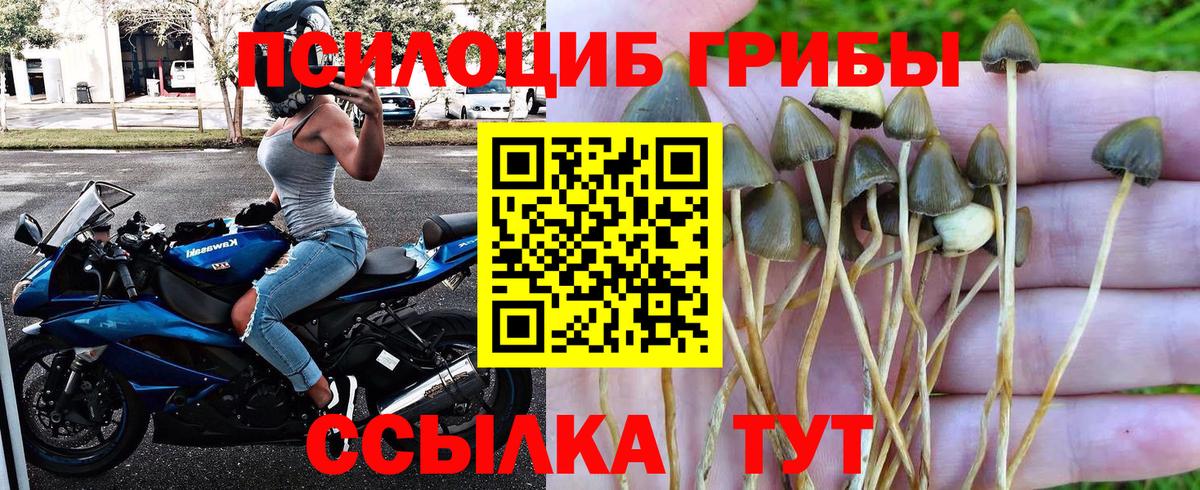 Егорьевск  Галлюциногенные грибы Magic Shrooms  Вход с VPN 